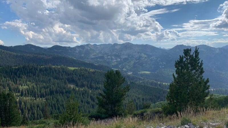 Trail running scenery, photo 1