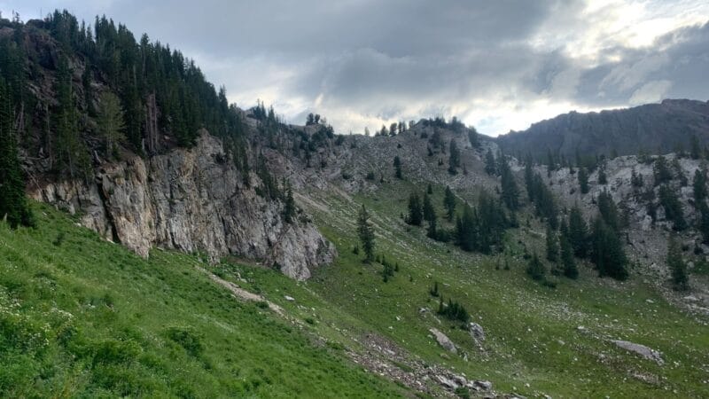 Trail running scenery, photo 2