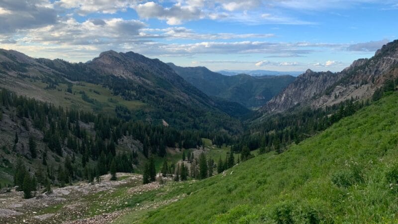 Trail running scenery, photo 4