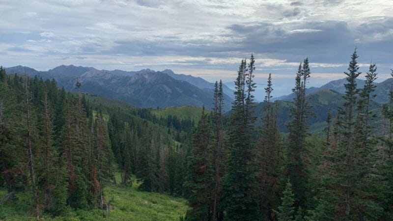 Trail running scenery, photo 5