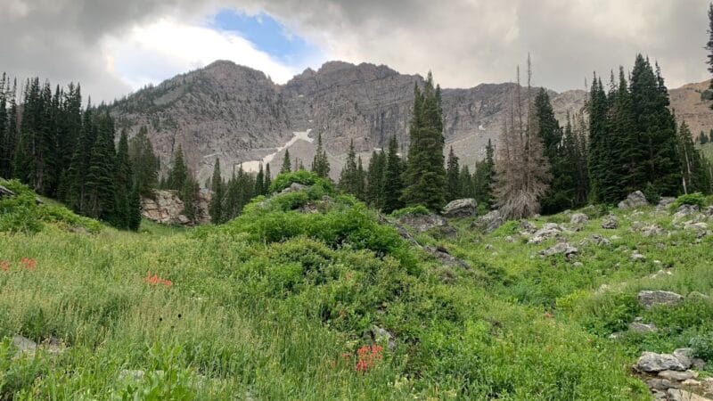 Trail running scenery, photo 6